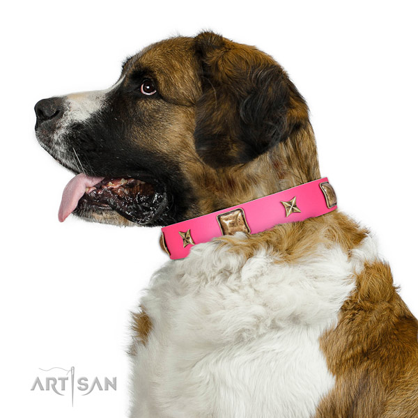 Full grain natural leather dog collar of quality material with fashionable decorations