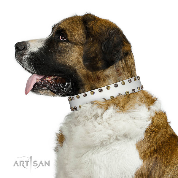 Stylish leather dog collar with rust resistant studs