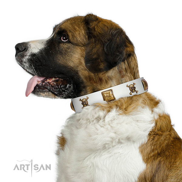 Incredible natural leather dog collar with rust-proof decorations
