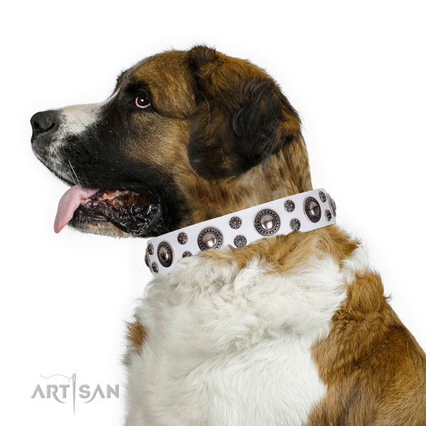 Moscow Watchdog genuine leather collar with durable buckle for everyday use
