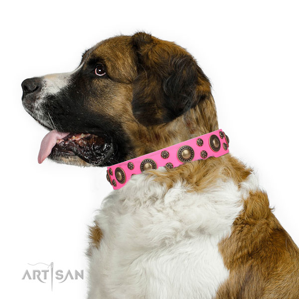 Moscow Watchdog natural genuine leather collar with durable D-ring for everyday walking