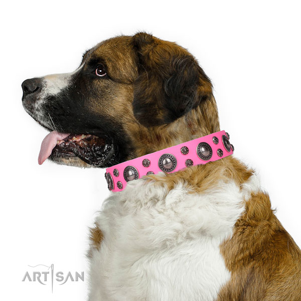 Moscow Watchdog genuine leather collar with strong D-ring for comfortable wearing