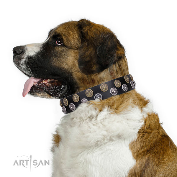 Moscow Watchdog natural genuine leather collar with corrosion proof traditional buckle for comfy wearing