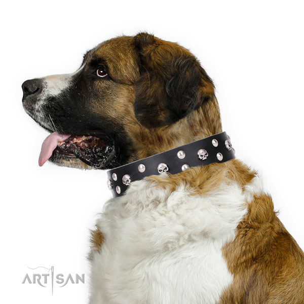 Moscow Watchdog studded genuine leather dog collar for basic training