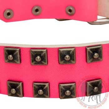 Nickel Fittings Fixed With Rivets