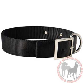 Nylon Dog Collar with Durable Rust Resistant Hardware