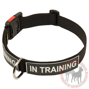 Identification Nylon Dog Collar