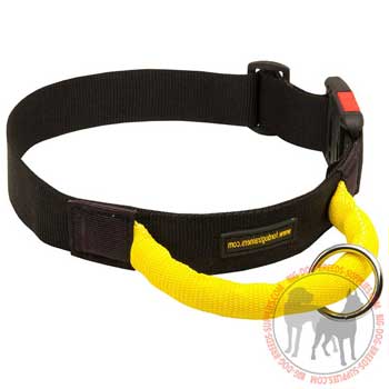 American Pit Bull Terrier Collar Nylon for Optimal Control