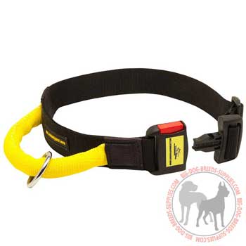 Pitbull Collar Wear- and Tearproof