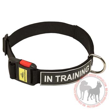 Dog Nylon Collar with Fast to Lock Plastic Buckle