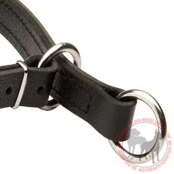 O-ring on choke dog collar - stationary and floating for  attaching a lead