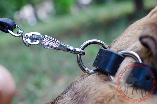 O-ring for Leash Attachment to Choke Collar