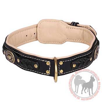 Leather Dog Collar with Padding