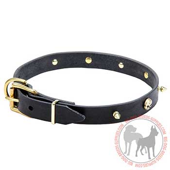Leather Collar with Golden-like Decoration