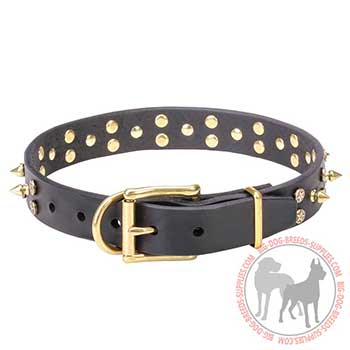 Riveted Decorations on Leather Dog Collar