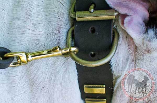 Hand-welded D-Ring Fixed in the Strap with Rivets