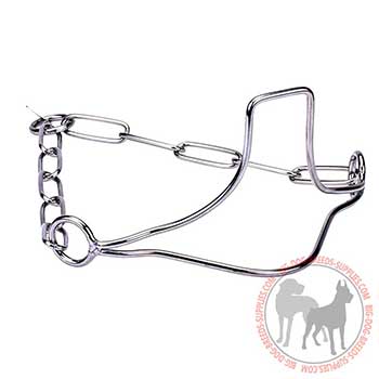 Stainless Dog Collar of Steel