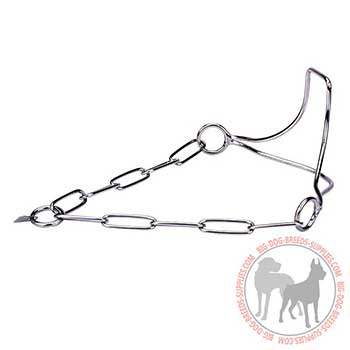 Steel Dog Collar for Show Performing