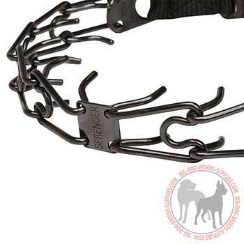Labeled Dog Pinch Collar