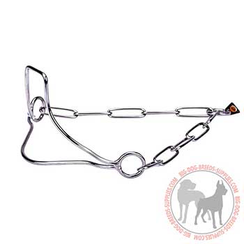 Steel Dog Collar for Long Service