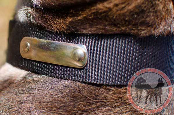 Steel Nickel Plated ID Tag Fixed in Nylon Collar