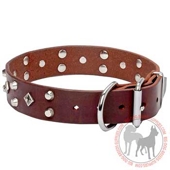 Studded Leather Dog Collar