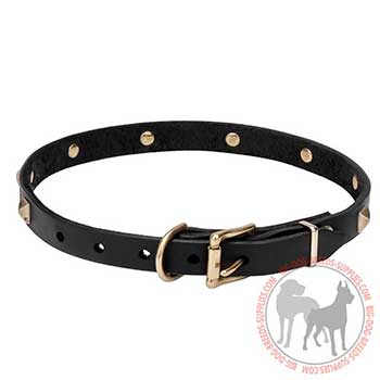 Canine Collar of Leather with Firm Hardware