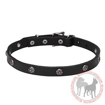 Leather Dog Collar with Firm Hardware