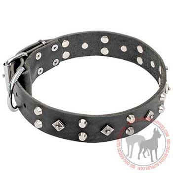 Leather Dog Collar for Walking