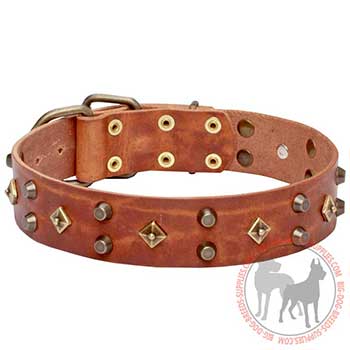 Leather Dog Collar with Buckle