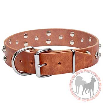 Leather Dog Collar with Buckle