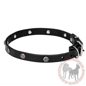 Leather Collar with Fancy Decoration