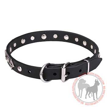 Leather Dog Collar - Stylish Performing