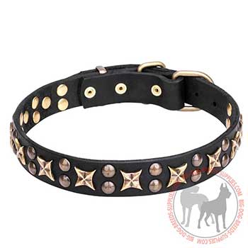 Leather Dog Collar - Vintage Walking Tool