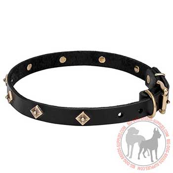 Firm Leather Dog Collar with Unique Rhombs