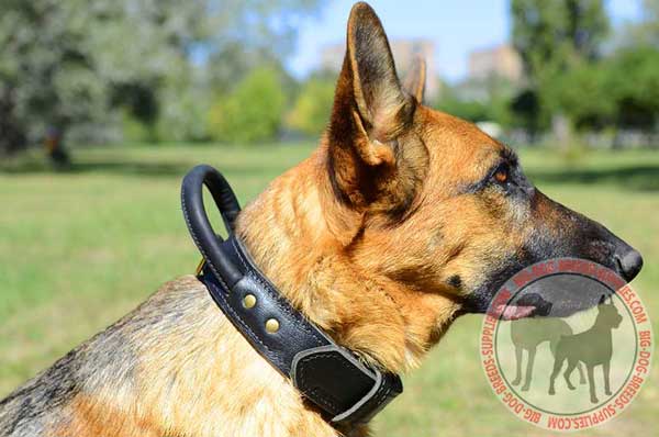 German Shepherd Leather Dog Collar with Control Handle