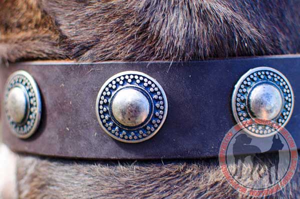 Vintage Conchos Silvery Massive