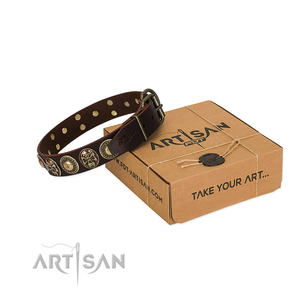 Rust-proof adornments on dog collar for basic training