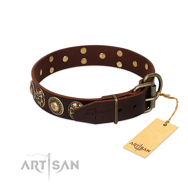Durable fittings on comfy wearing dog collar