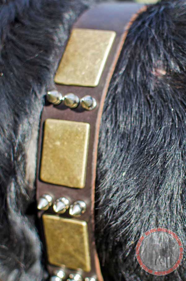 Brass Plates and Nickel Spikes Set on the Strap