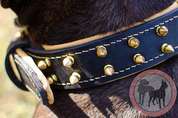 Goldish Brass Spikes Handset Securely