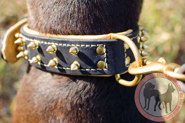 Strong D Ring for Leash