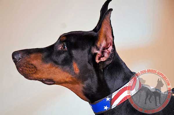 Doberman Leather Collar for Walking in Style