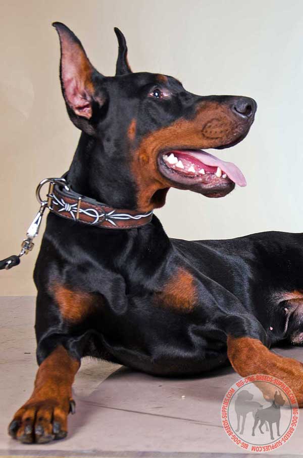 Doberman Leather Collar Handpainted
