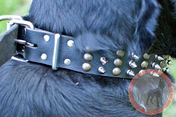 Nickel Plated Buckle Easy Adjustable