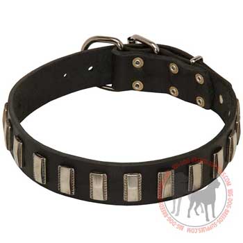 Leather collar for dog walking