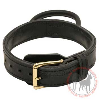 Dog leather collar with trtaditional buckle