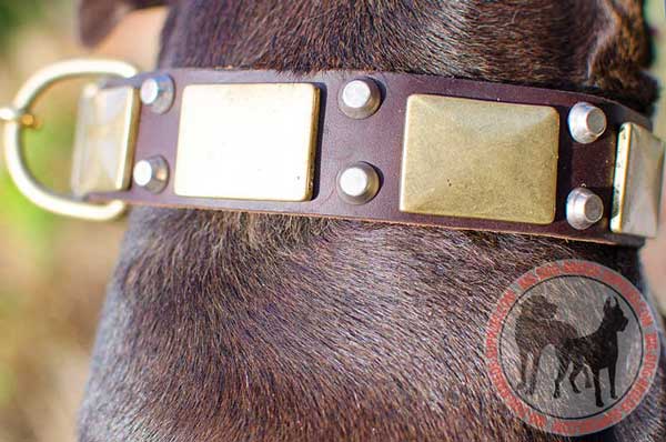 Amazing deocrative elements on leather