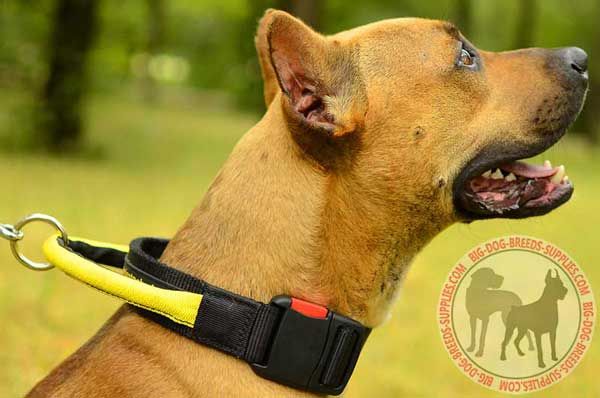 Nylon Pitbull Collar Lightweight Breathable