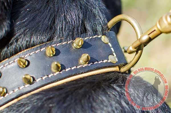 Leather Collar D-Ring Carefully Sewn into It